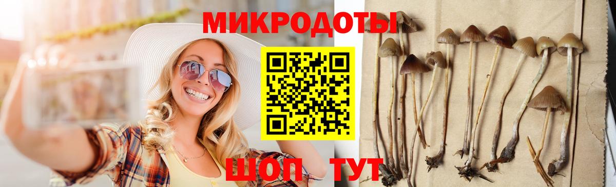 Псилоцибиновые грибы GOLDEN TEACHER  Спасск-Дальний 